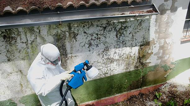Trusted Commercial Mold Remediation service in Geneva, FL - Cheap Mold Removal